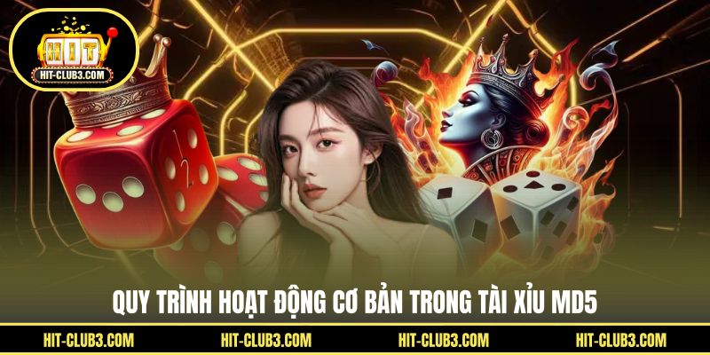 Quy trình hoạt động cơ bản trong tài xỉu MD5